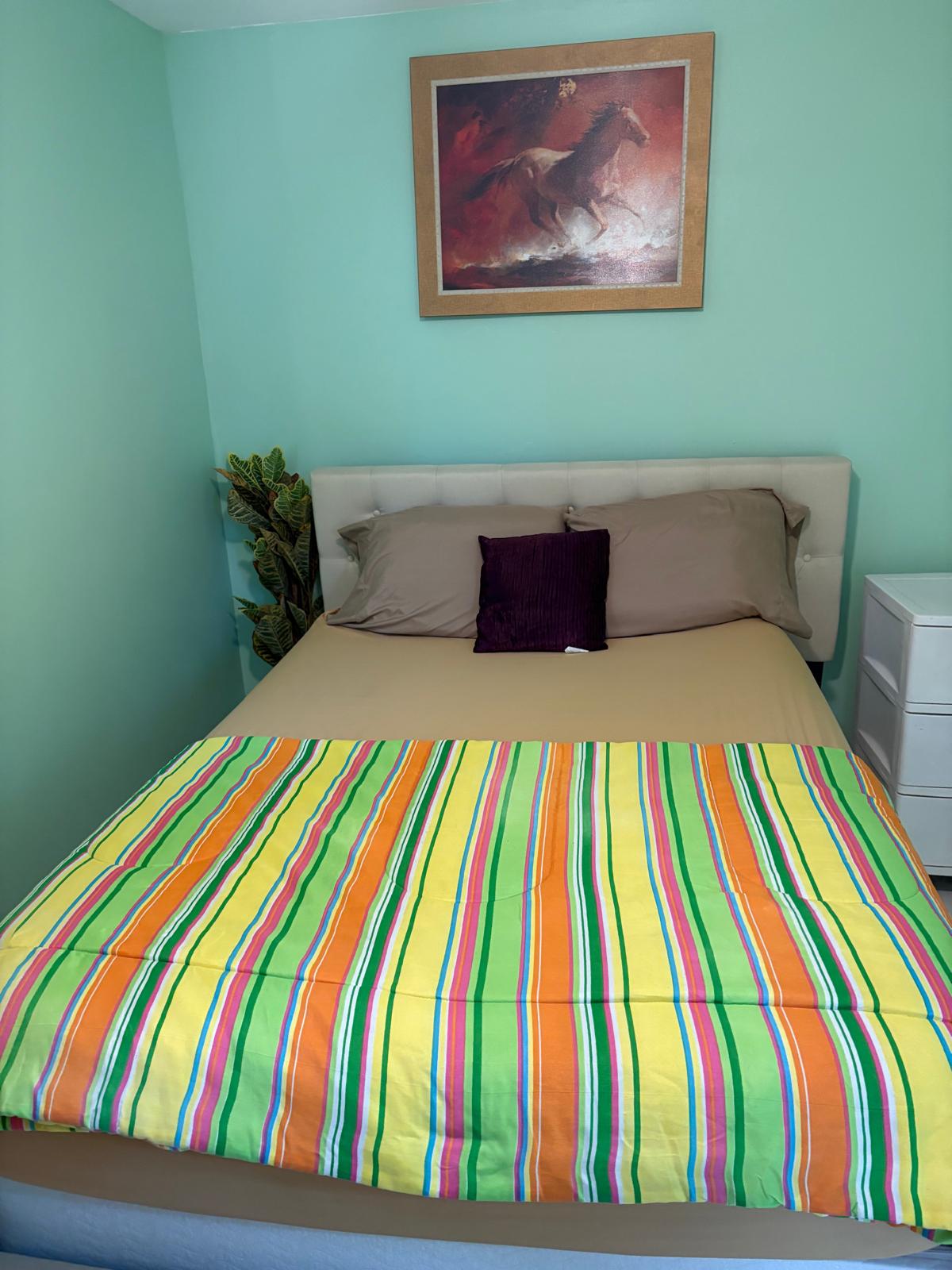 Rose Street Home - Image 21